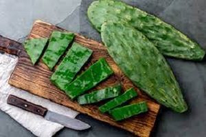 Nopales Benefts and Uses