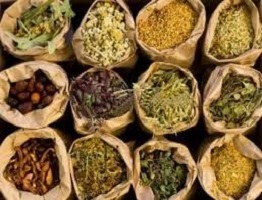 Yoruba Herbs in Nigeria