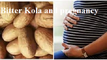 Bitter Kola and pregnancy Effects