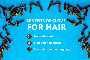 Clove benefits for hair and Skin 2022