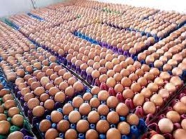 Current price of Crate of Egg in Nigeria 2022