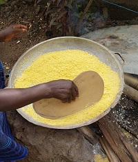 Garri Health Benefits and Effects