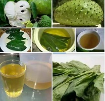 Soursop and Cancer Tea Recipe