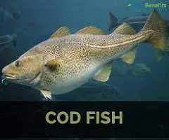 Easy Cod Fish Recipe