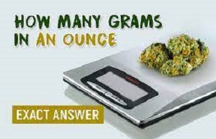 How Many Grams in an Ounce of Gold/Water/Protein/Silver