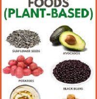 High calorie foods plant based