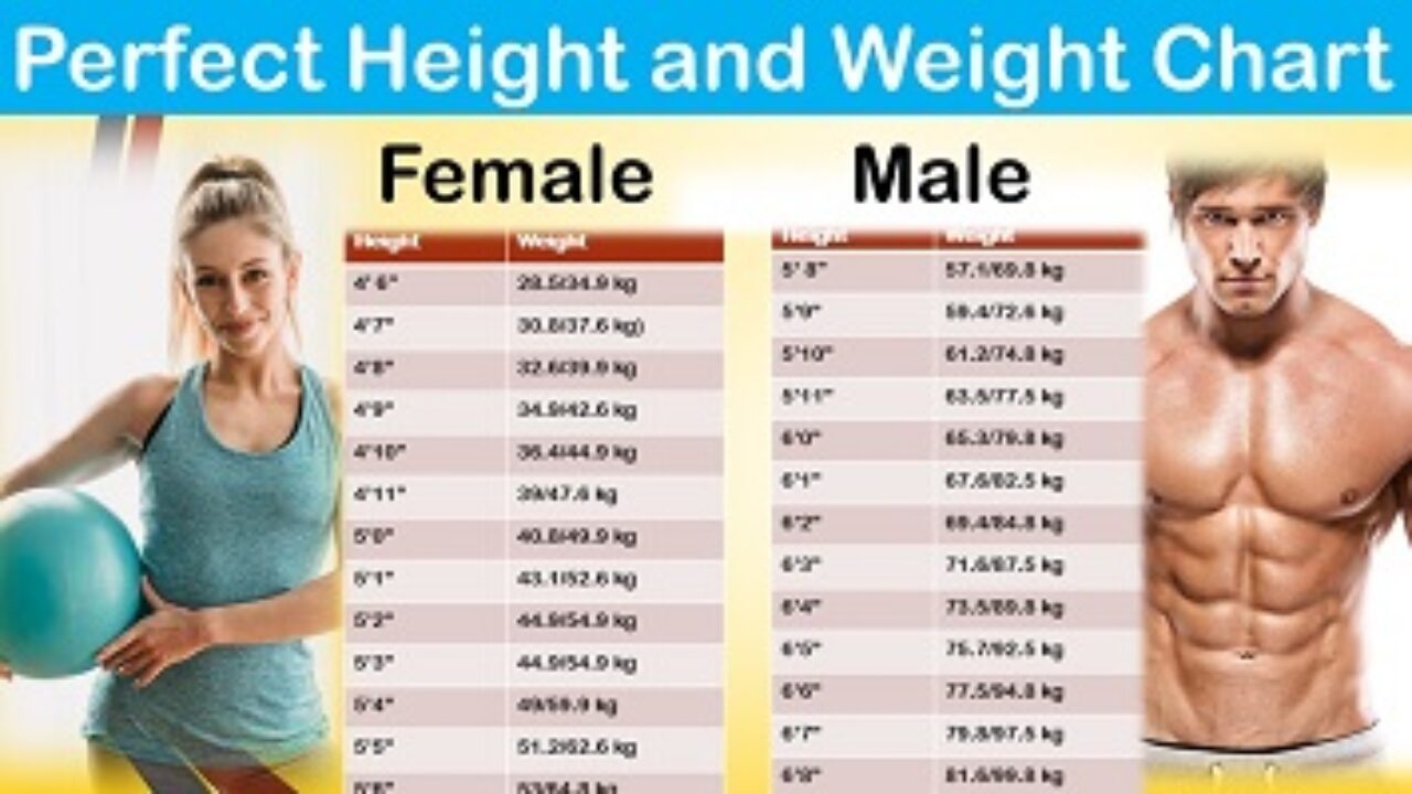 And Female Weight Chart