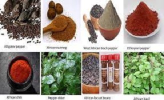 african herbal medicine for weight loss