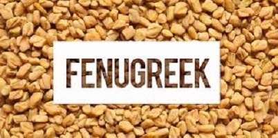 Does fenugreek make you smell like maple syrup