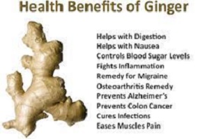 Benefits of Ginger, Garlic & Honey