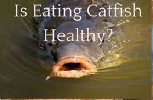 Is Catfish Good For You to Eat