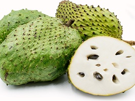 Aluguntugui Fruit benefits