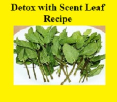 Detox with Scent Leaf Recipe