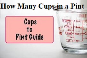 How Many Cups in a Pint ~ Pints to Cups Conversions