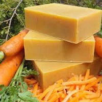 Carrot Soap Benefits for Skin
