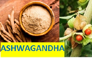 ashwagandha ingredients