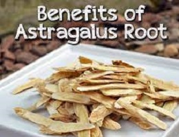 Astragalus Root Benefits