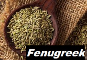 Does Fenugreek Increase Breast Size