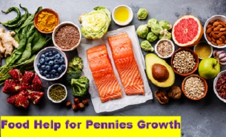 Pennies Enlarge Foods