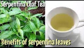 Health Benefits of Serpentina Leaves