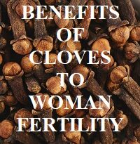 BENEFITS OF CLOVES TO WOMAN FERTILITY