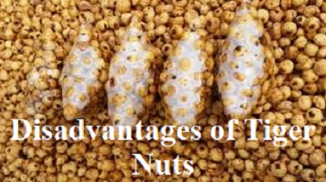 Disadvantages of Tiger Nuts