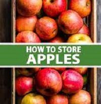 How to Store Apples for a Longer Period