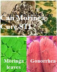 Can Moringa Cure STI