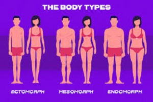 Intermittent Fasting By Body Type for Weight Loss