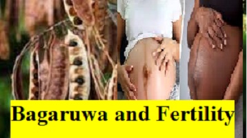Bagaruwa and Fertility