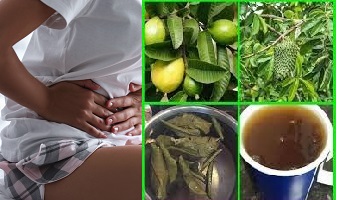 Soursop and Menstruation Benefits