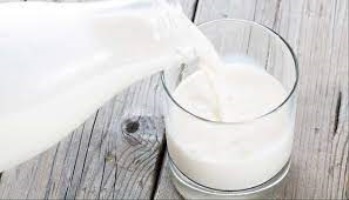 Importance of milk To the Body