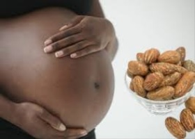 pregnancy and bitter kola