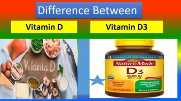 Vitamin D Vs Vitamin D3