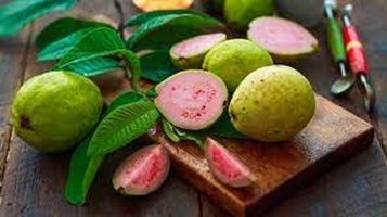 Guava Fruit Benefits