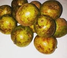 Ugiri Fruit