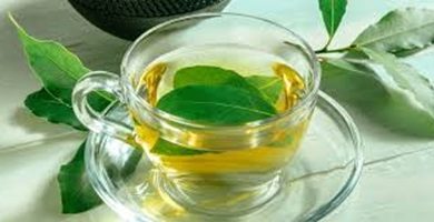 Bay Leaf Tea for Sleep