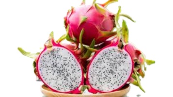 Pitaya Fruit