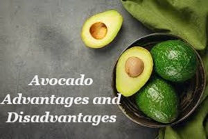 Avocado Advantages and Disadvantages