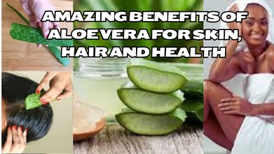 Benefits of Aloe Vera