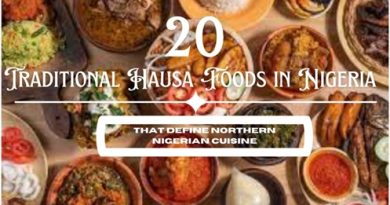 Traditional Hausa Foods in Nigeria