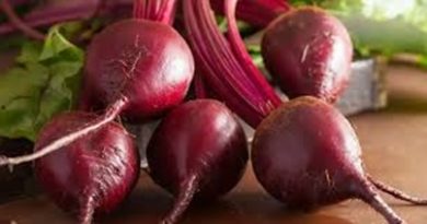 Beet