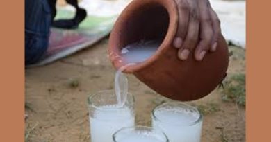 Palm Wine Elixir