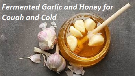 Fermented Garlic and Honey for Cough and Cold