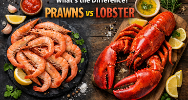 Prawns vs Lobster
