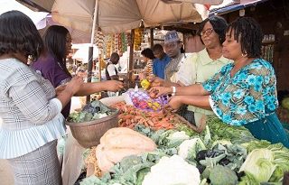 Food Scarcity