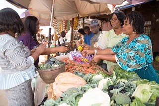 Food Scarcity